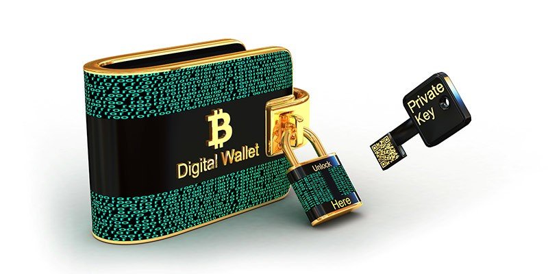 6 Tips to Safeguard Your Cryptocurrency Wallets from Digital Exploits
