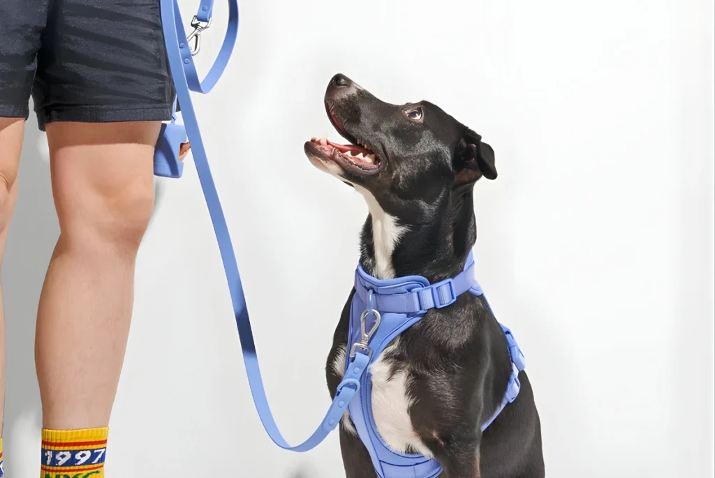 Comfortable Walk Kit