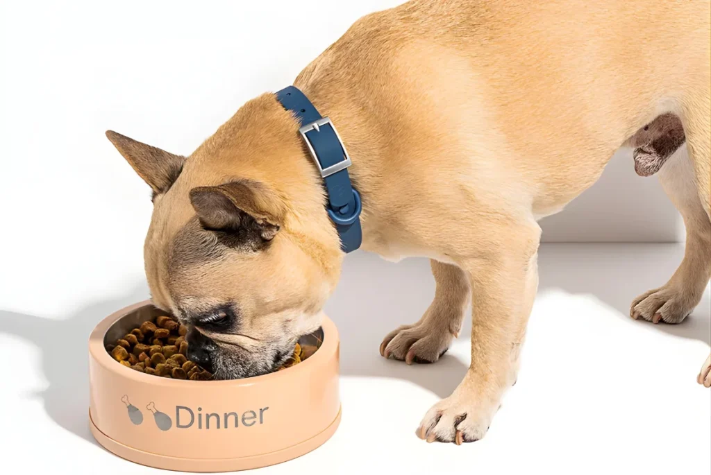 Personalized Dog Bowl