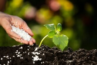 GAIA BioMaterials Secures European Patent