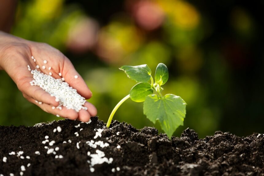 GAIA BioMaterials Secures European Patent